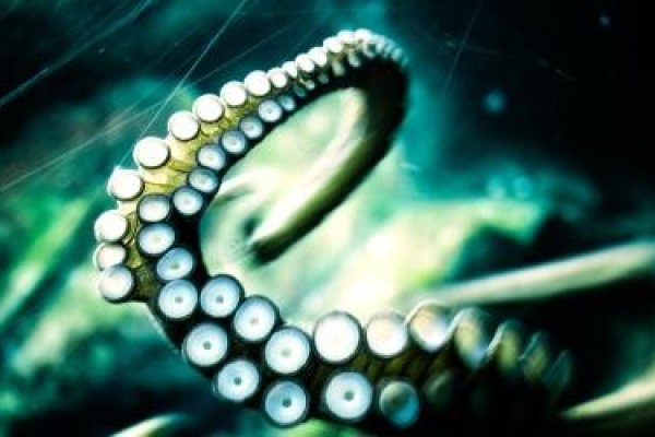 Kraken 2krn es