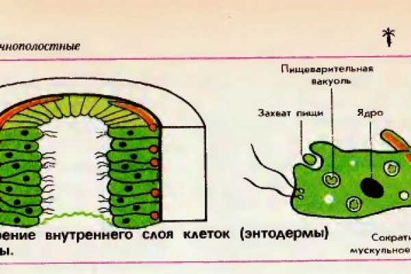 Кракен магазин krakens13 at