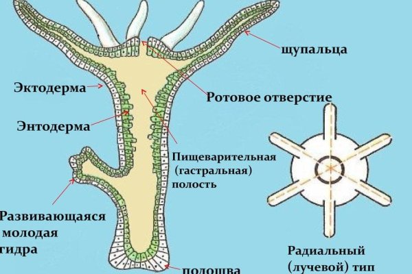 Кракен рабочая ссылка 2024